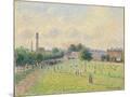 Wood Mount