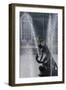 Kew Hercules 1-Charles Bowman-Framed Photographic Print