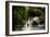 Kew Lake 1-Charles Bowman-Framed Photographic Print