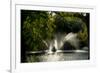Kew Lake 1-Charles Bowman-Framed Photographic Print