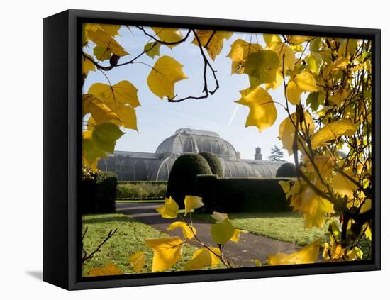 Kew Palm House Autumn 1-Charles Bowman-Framed Stretched Canvas