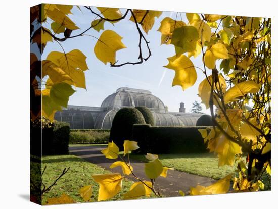 Kew Palm House Autumn 1-Charles Bowman-Stretched Canvas