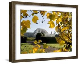 Kew Palm House Autumn 1-Charles Bowman-Framed Photographic Print