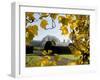 Kew Palm House Autumn 1-Charles Bowman-Framed Photographic Print