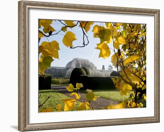 Kew Palm House Autumn 1-Charles Bowman-Framed Photographic Print