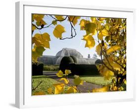 Kew Palm House Autumn 1-Charles Bowman-Framed Photographic Print