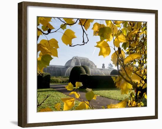 Kew Palm House Autumn 1-Charles Bowman-Framed Photographic Print