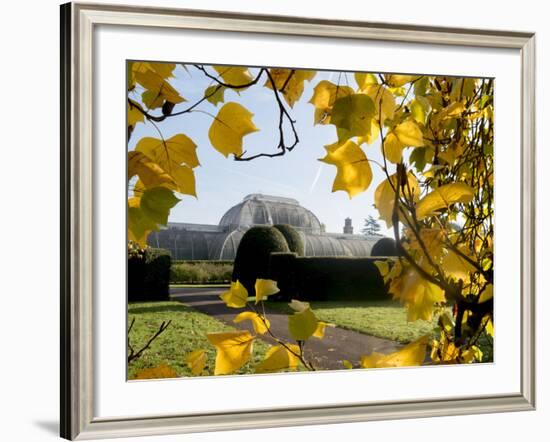 Kew Palm House Autumn 1-Charles Bowman-Framed Photographic Print