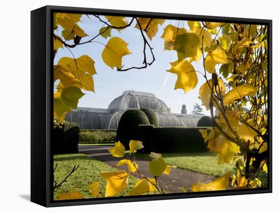 Kew Palm House Autumn 1-Charles Bowman-Framed Stretched Canvas