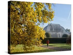 Kew Palm House Autumn-Charles Bowman-Stretched Canvas