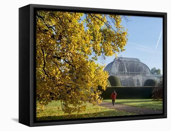 Kew Palm House Autumn-Charles Bowman-Framed Stretched Canvas