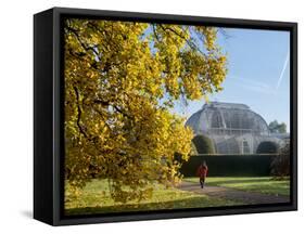 Kew Palm House Autumn-Charles Bowman-Framed Stretched Canvas