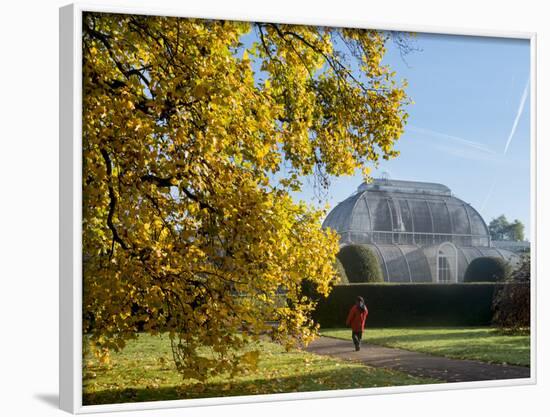 Kew Palm House Autumn-Charles Bowman-Framed Photographic Print