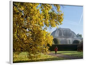 Kew Palm House Autumn-Charles Bowman-Framed Photographic Print