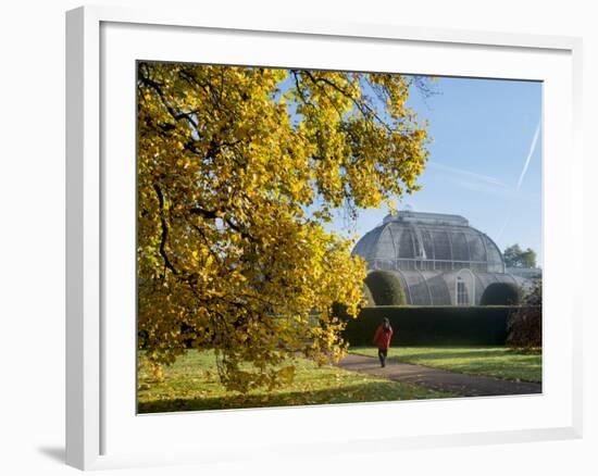 Kew Palm House Autumn-Charles Bowman-Framed Photographic Print