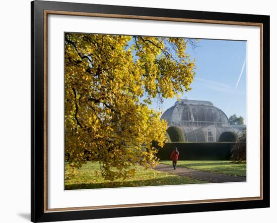 Kew Palm House Autumn-Charles Bowman-Framed Photographic Print