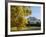 Kew Palm House Autumn-Charles Bowman-Framed Photographic Print