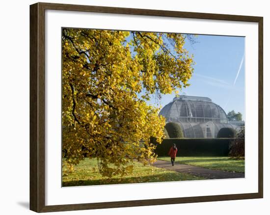 Kew Palm House Autumn-Charles Bowman-Framed Photographic Print