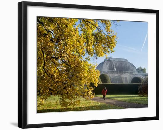 Kew Palm House Autumn-Charles Bowman-Framed Photographic Print