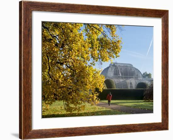 Kew Palm House Autumn-Charles Bowman-Framed Photographic Print