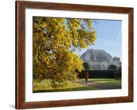 Kew Palm House Autumn-Charles Bowman-Framed Photographic Print