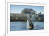 Kew Palm House-Charles Bowman-Framed Photographic Print