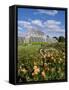 Kew Palm House-Charles Bowman-Framed Stretched Canvas