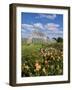 Kew Palm House-Charles Bowman-Framed Photographic Print