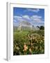 Kew Palm House-Charles Bowman-Framed Photographic Print