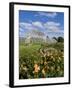 Kew Palm House-Charles Bowman-Framed Photographic Print