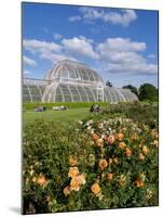 Kew Palm House-Charles Bowman-Mounted Photographic Print