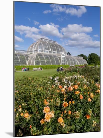 Kew Palm House-Charles Bowman-Mounted Photographic Print