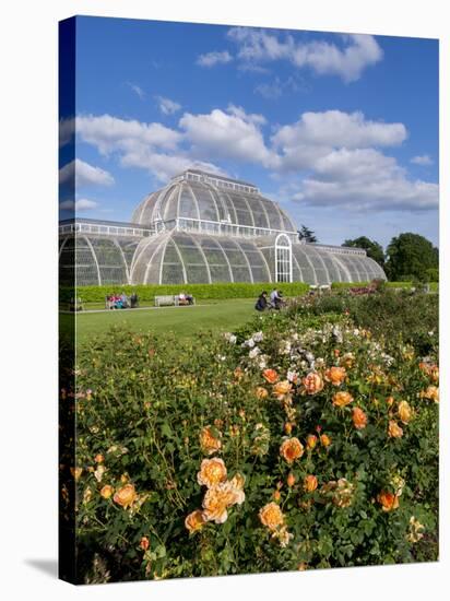 Kew Palm House-Charles Bowman-Stretched Canvas