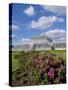 Kew Palm House-Charles Bowman-Stretched Canvas