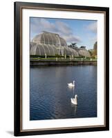 Kew Palm House-Charles Bowman-Framed Photographic Print