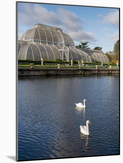 Kew Palm House-Charles Bowman-Mounted Photographic Print