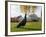 Kew Peacock-Charles Bowman-Framed Photographic Print