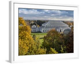 Kew Temperate House 1-Charles Bowman-Framed Photographic Print