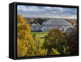 Kew Temperate House 1-Charles Bowman-Framed Stretched Canvas