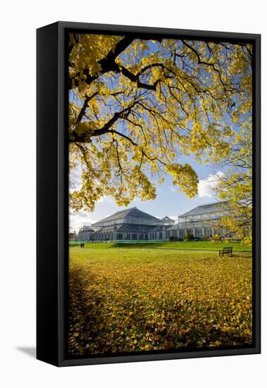 Kew Temperate House-Charles Bowman-Framed Stretched Canvas