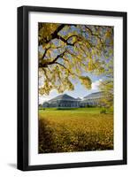 Kew Temperate House-Charles Bowman-Framed Photographic Print