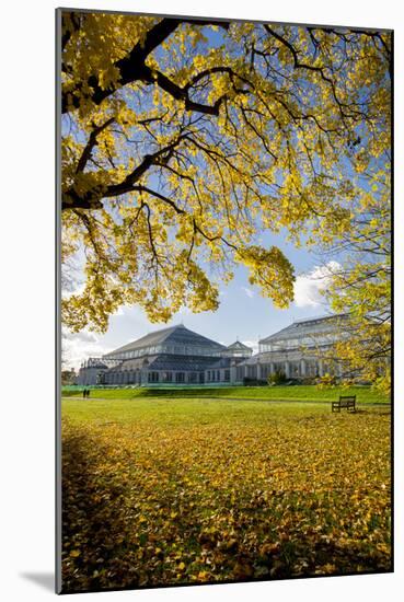 Kew Temperate House-Charles Bowman-Mounted Photographic Print