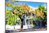 Kew West Cottage - In the Style of Oil Painting-Philippe Hugonnard-Mounted Giclee Print