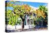Kew West Cottage - In the Style of Oil Painting-Philippe Hugonnard-Stretched Canvas