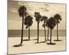 Key Biscayne II-Dennis Kelly-Mounted Giclee Print