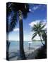 Key Biscayne, Miami, FL-Mark Gibson-Stretched Canvas