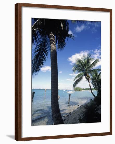 Key Biscayne, Miami, FL-Mark Gibson-Framed Photographic Print