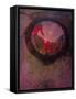 Key in Water-Tim Kahane-Framed Stretched Canvas