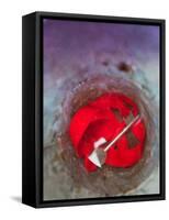 Key in Water-Tim Kahane-Framed Stretched Canvas