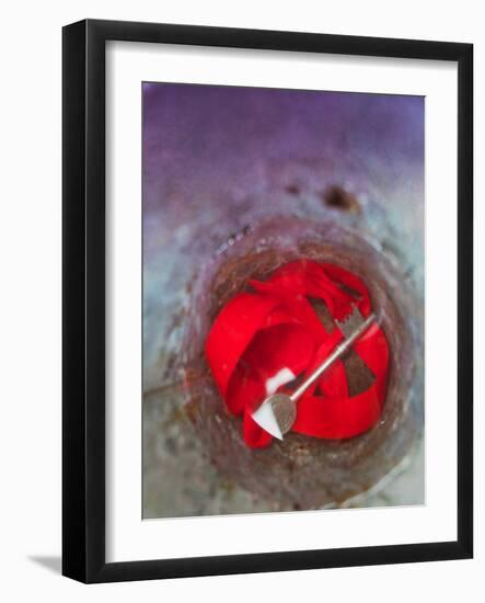 Key in Water-Tim Kahane-Framed Photographic Print